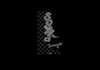 Sound Image